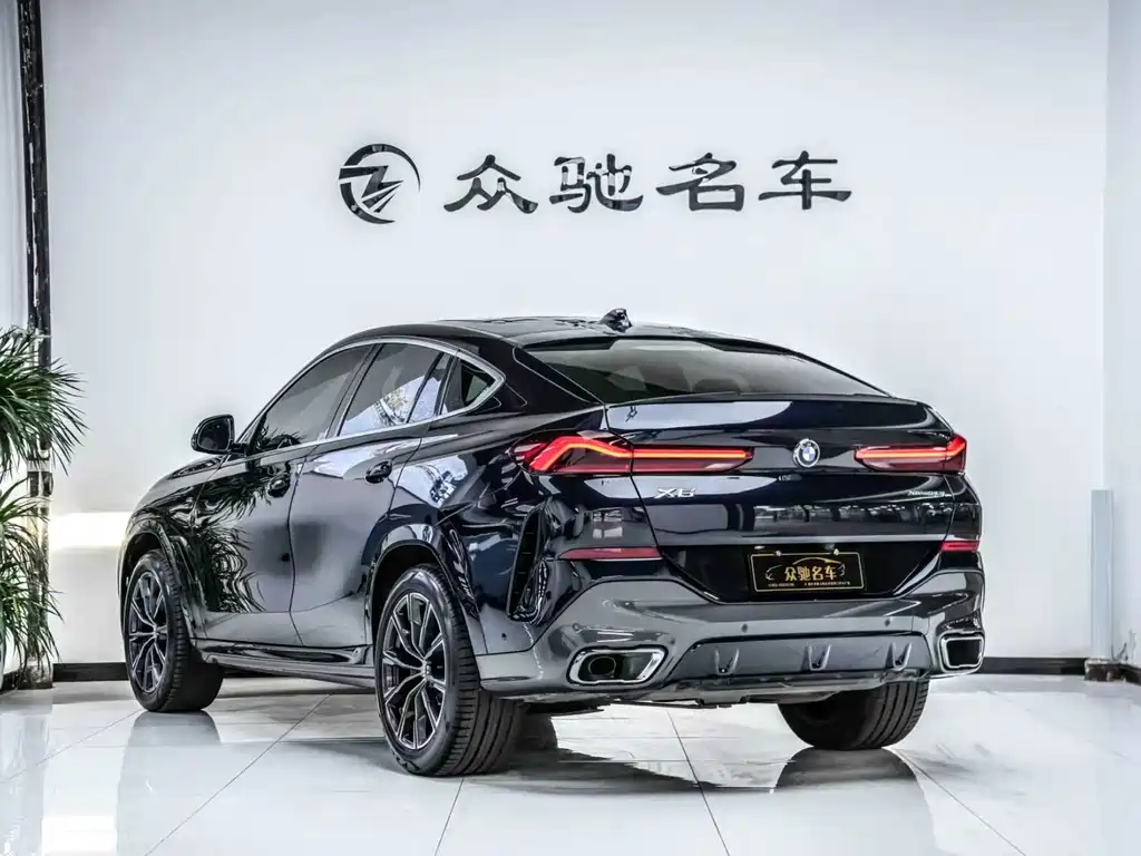 BMW X6 2021 — фото 12