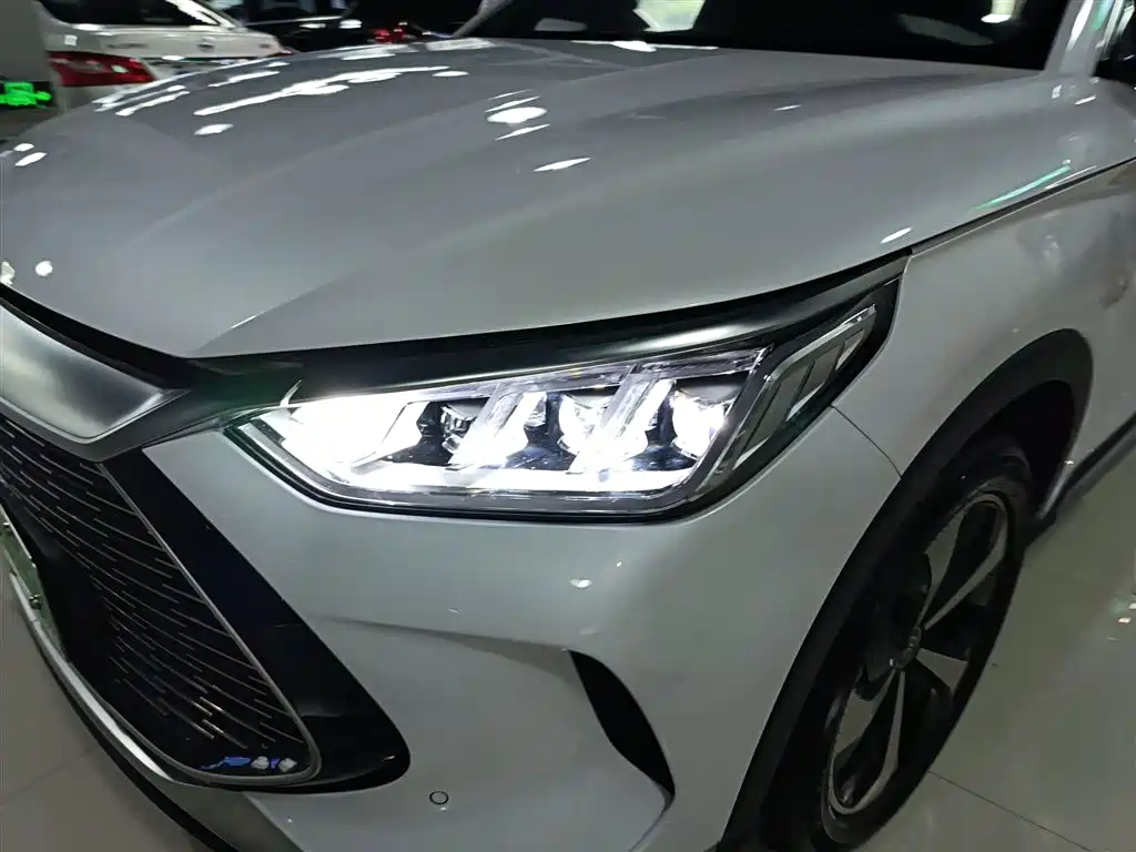 BYD PLUS New Energy 2021 — фото 23