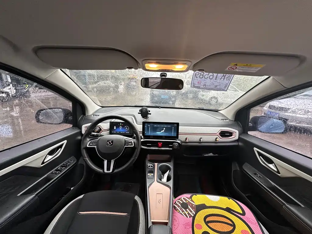 SOL Huaxianzi 2021 — фото 10