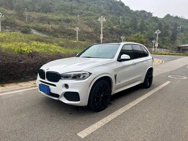 BMW X5 2014
