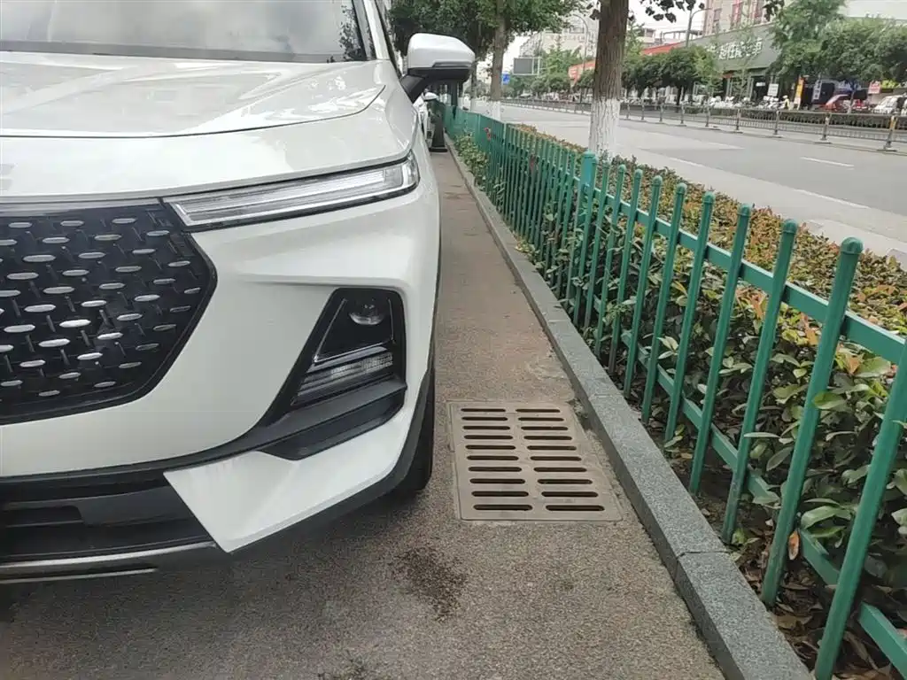 Baojun RS-5 2020 — фото 24
