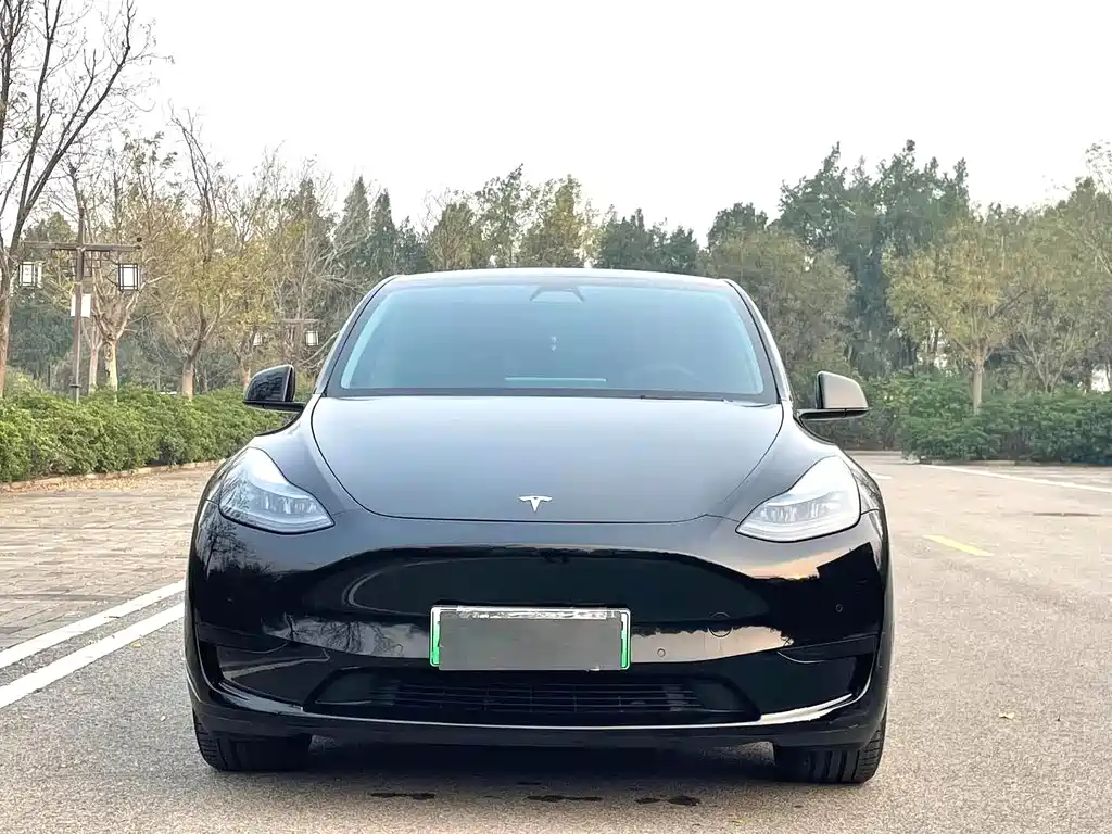 Tesla Model Y 2022 — фото 2