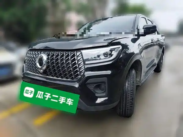 Great Wall Poer 2025
