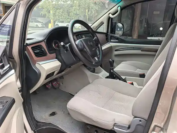 Dongfeng Lingzhi 2019