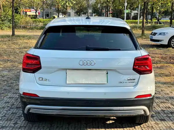 Audi Q2L E-Tron 2020