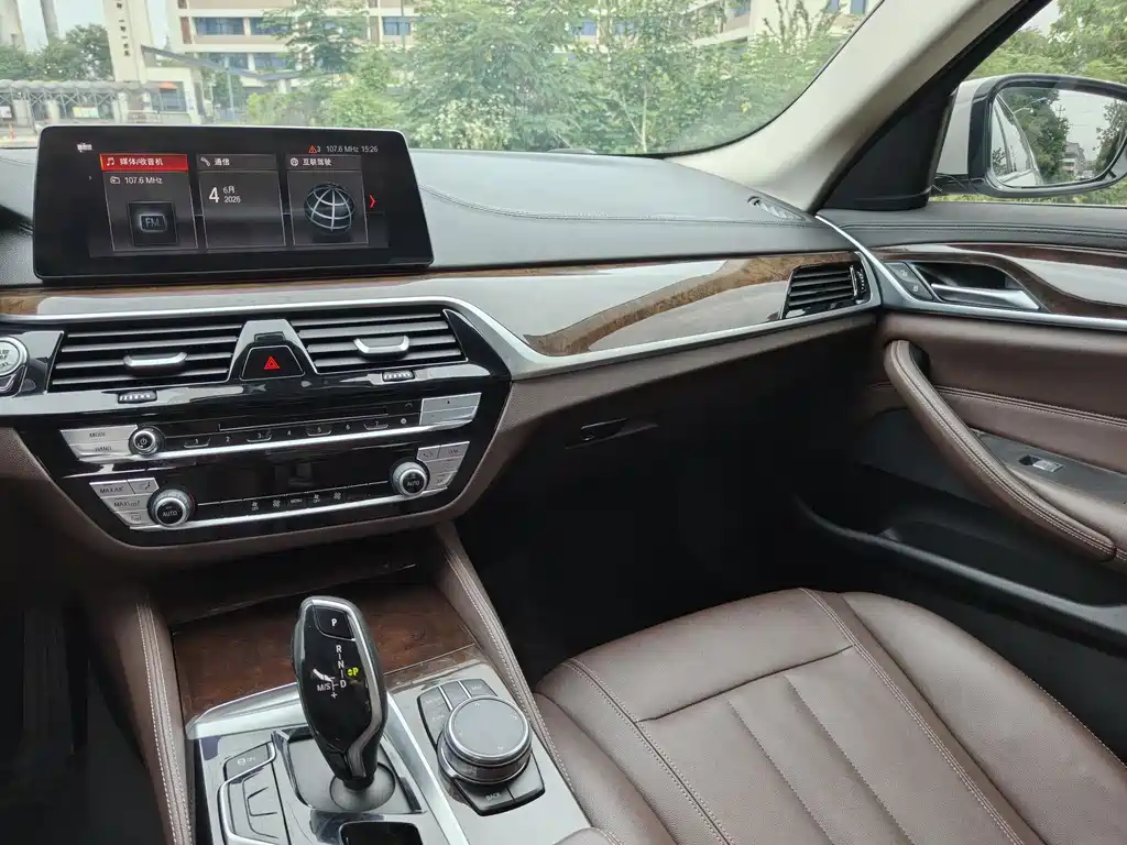 BMW 5 Series 2018 — фото 8