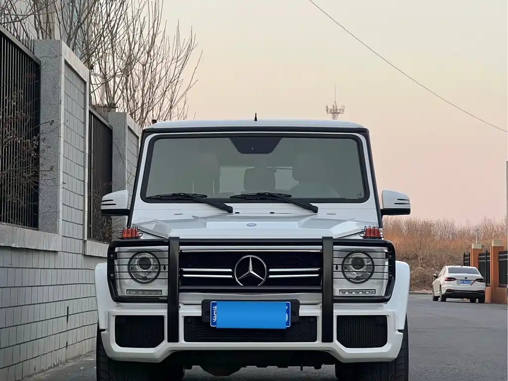 Mercedes-Benz G-Class AMG 2014 — фото 2