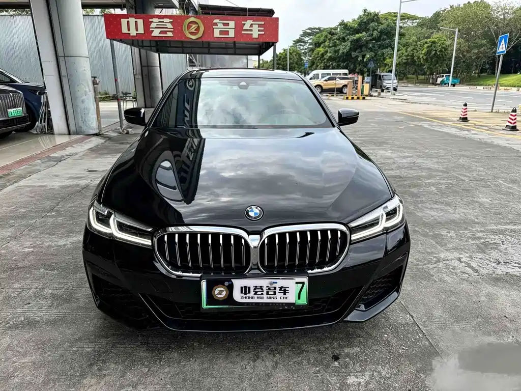 BMW 5 Series New Energy 2021