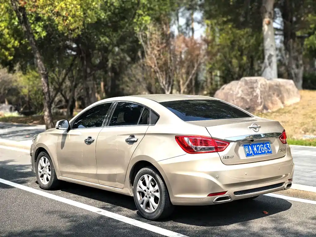 Haima Vanda Electric 2015 — фото 12