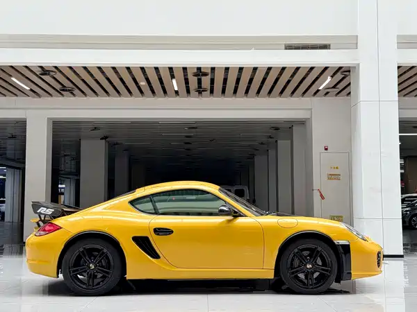 Porsche Cayman 2011