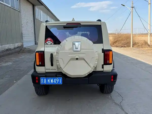 Tank 300 2025