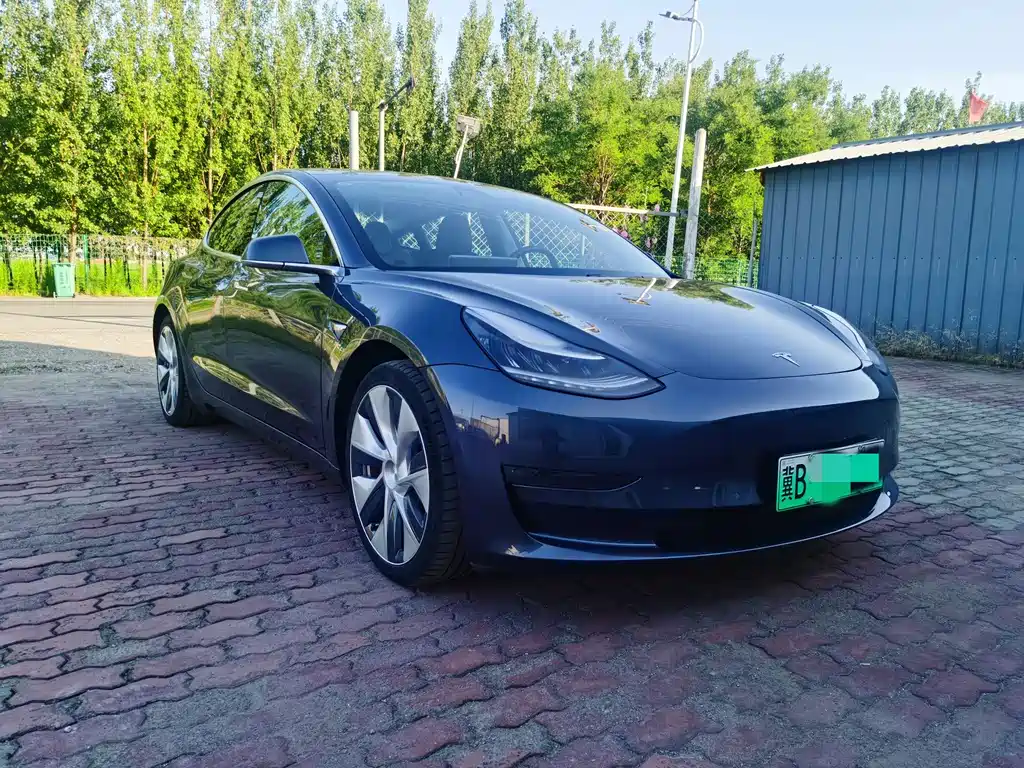 Tesla Model 3 2019