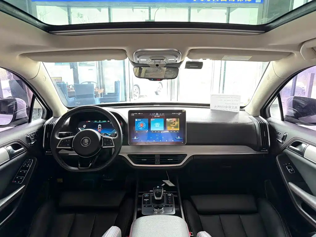BYD Tang New Energy 2019 — фото 18