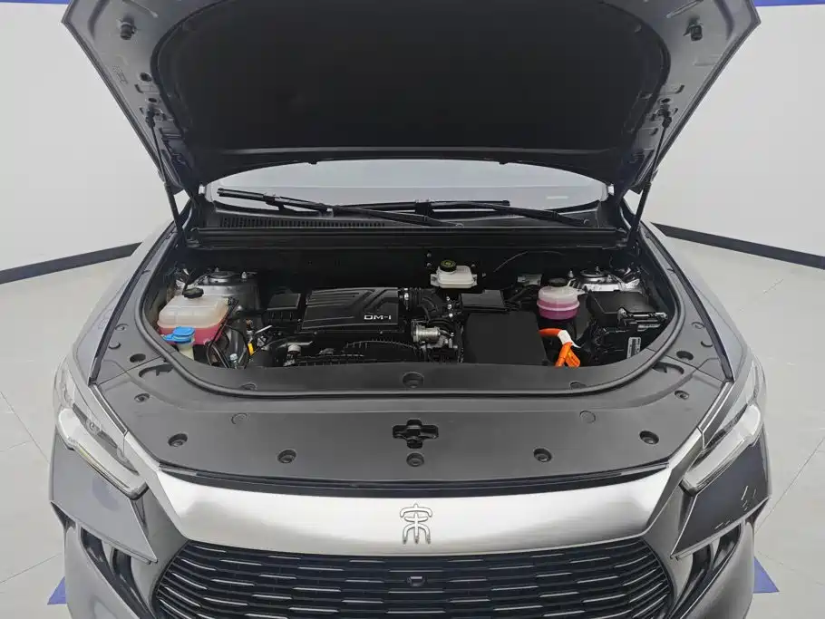 BYD Song Pro New Energy 2024 — фото 10