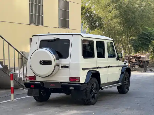 Mercedes-Benz G-Class 2010