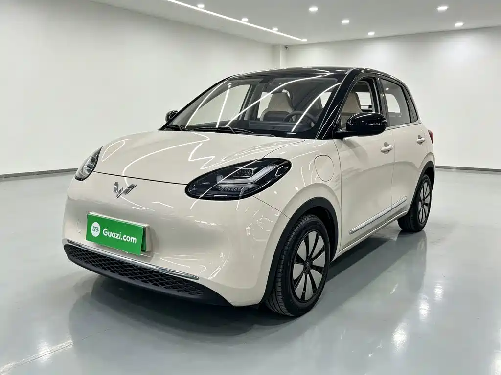 Wuling Bingo 2024