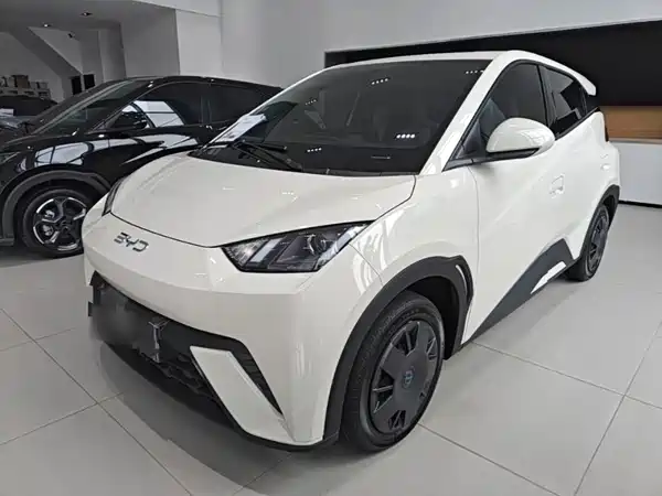 BYD Seagull 2024