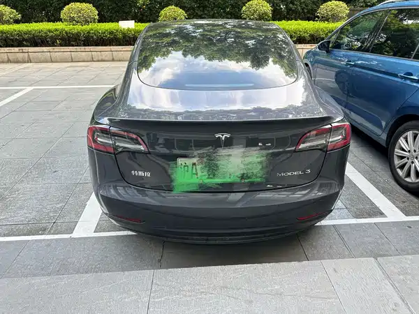 Tesla Model 3 2021