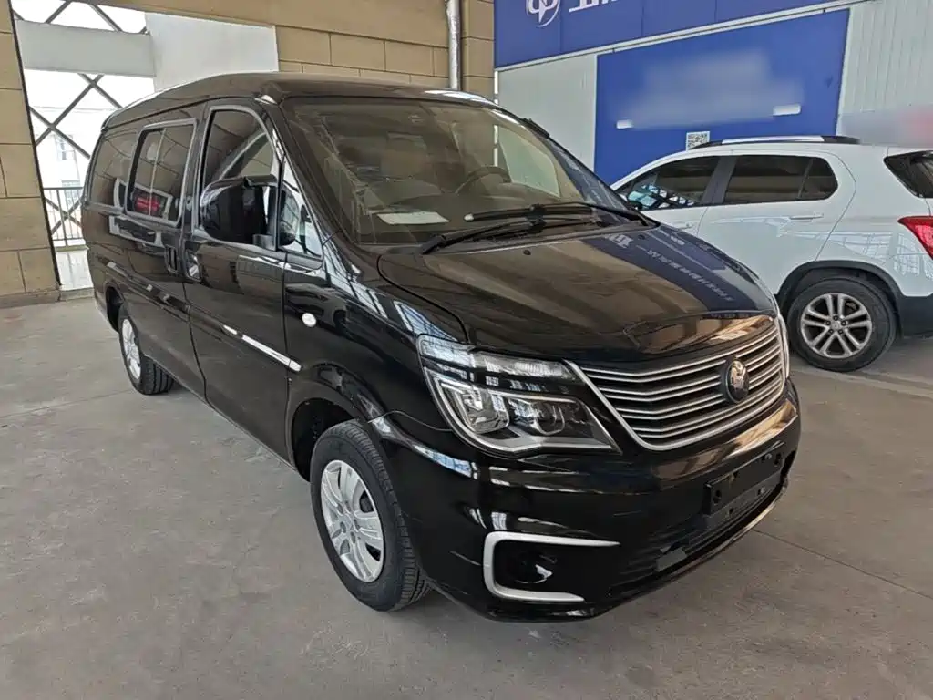 Dongfeng Lingzhi 2022