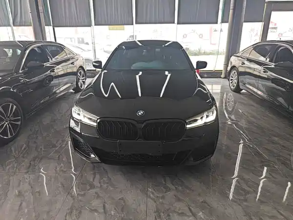 BMW 5 Series New Energy 2023