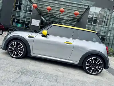 MINI MINI 2021