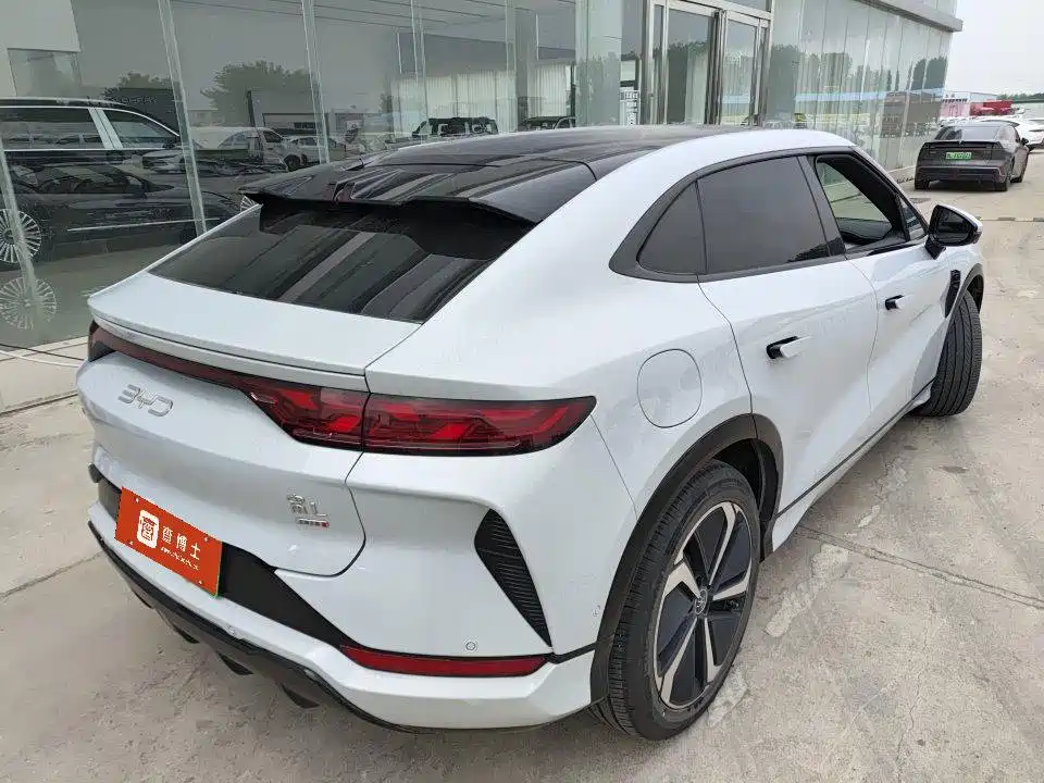 BYD L EV 2025