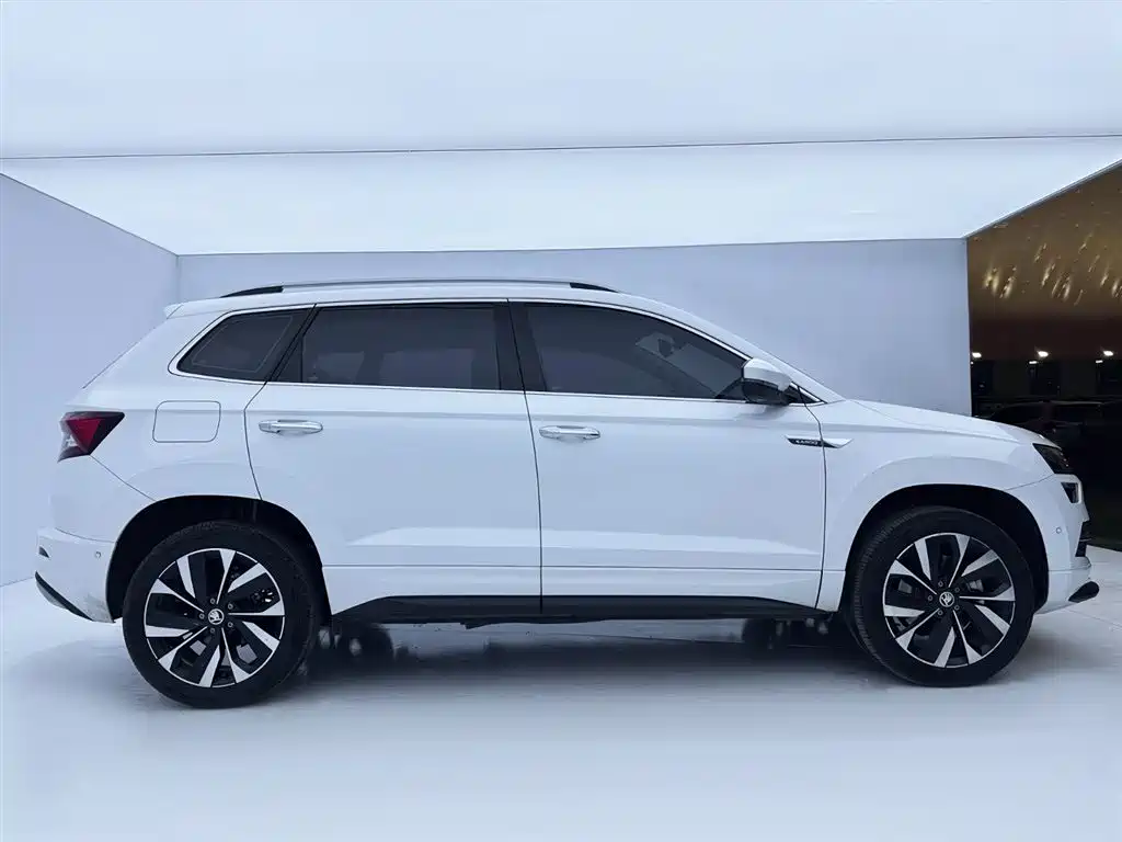 Skoda Karoq 2024 — фото 9