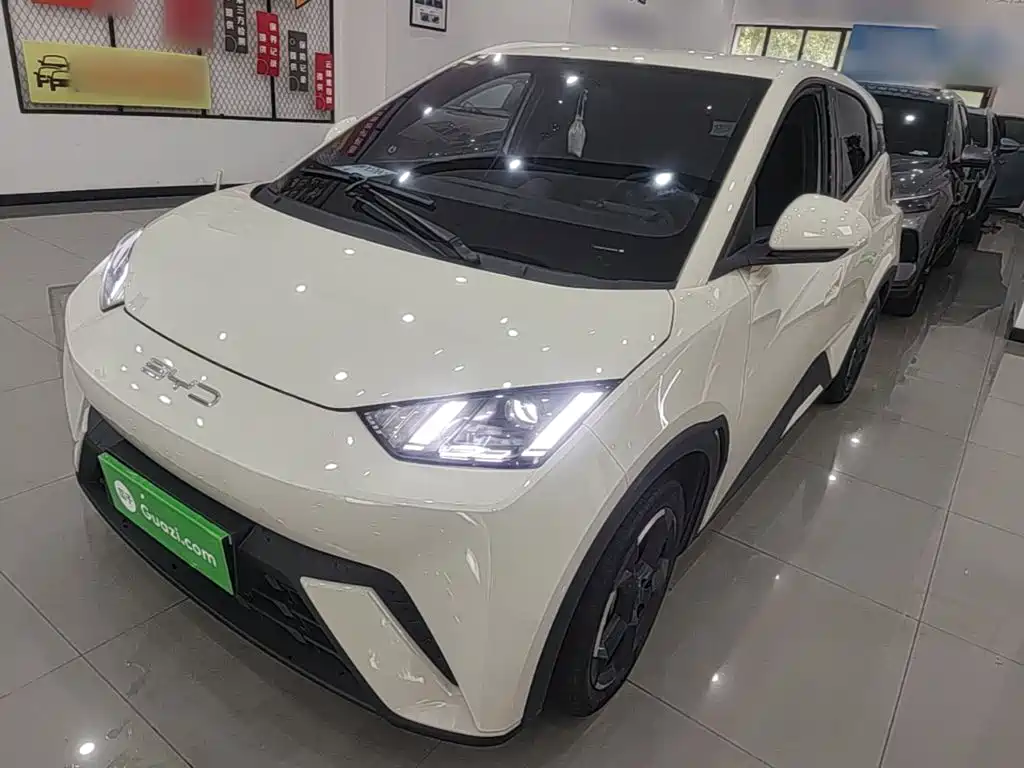 BYD Seagull 2024