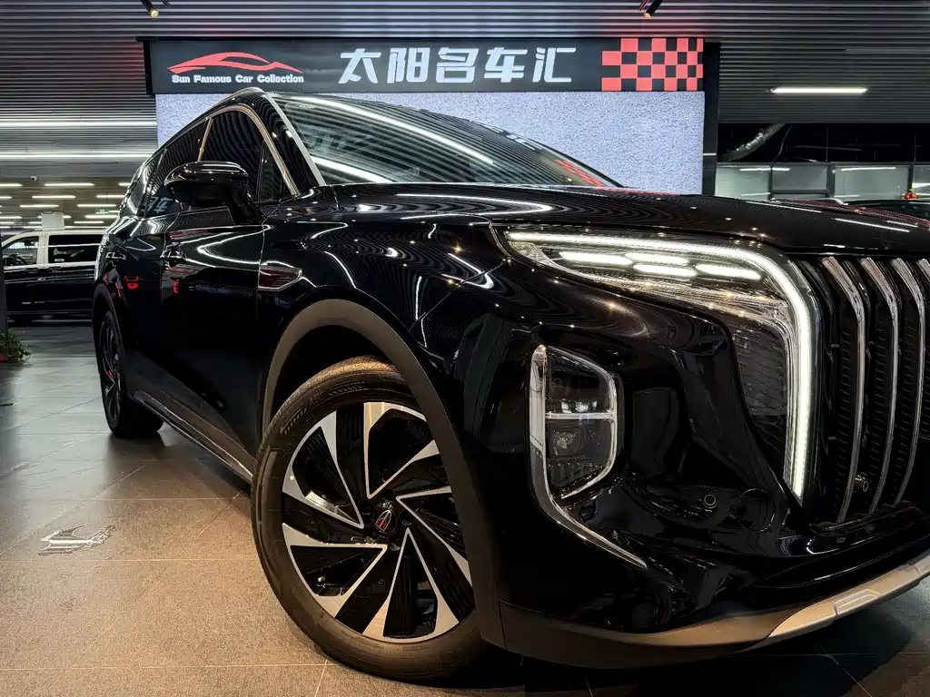 Hongqi HS7 PHEV 2024 — фото 17