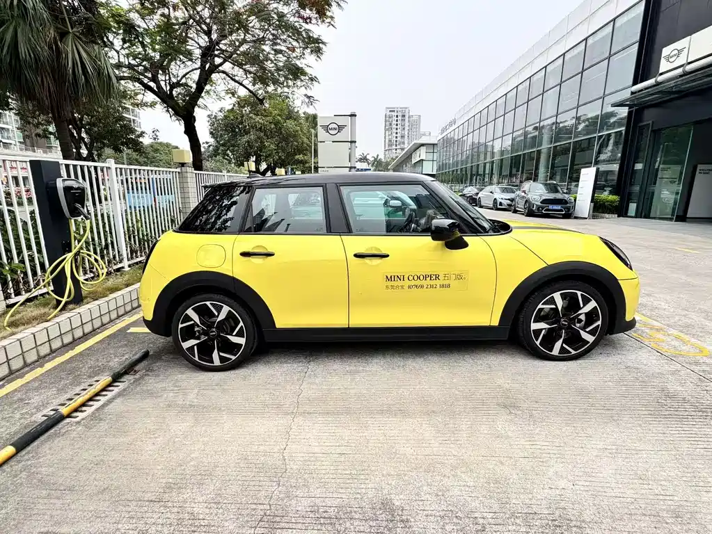 MINI MINI 2024