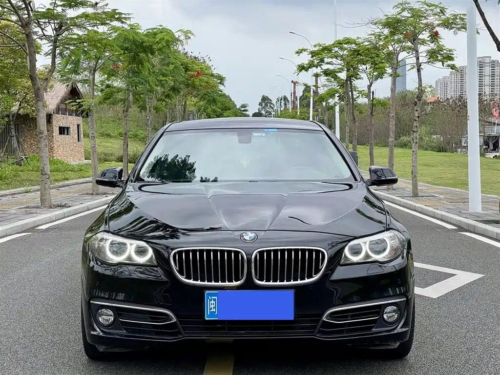 BMW 5 Series 2014 — фото 1