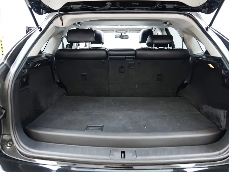 Lexus RX Classic 2013 — фото 15