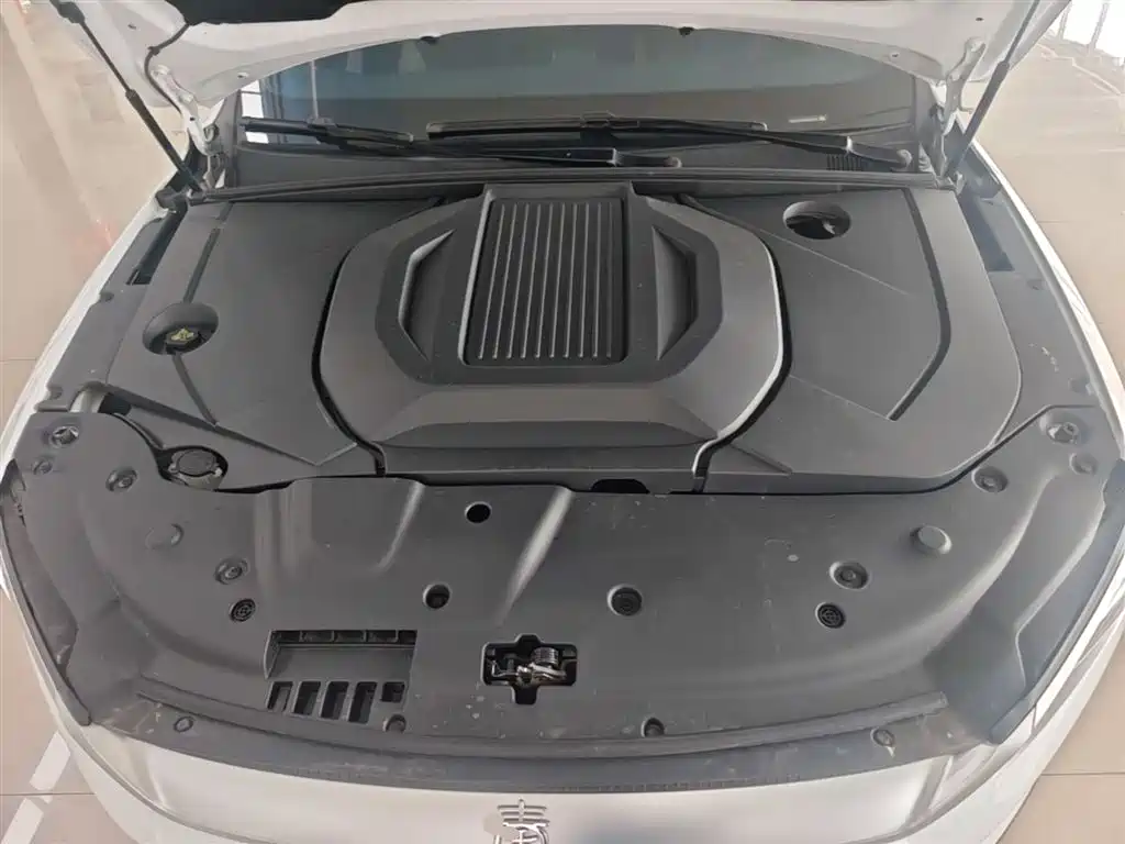 BYD Qin PLUS 2022 — фото 16