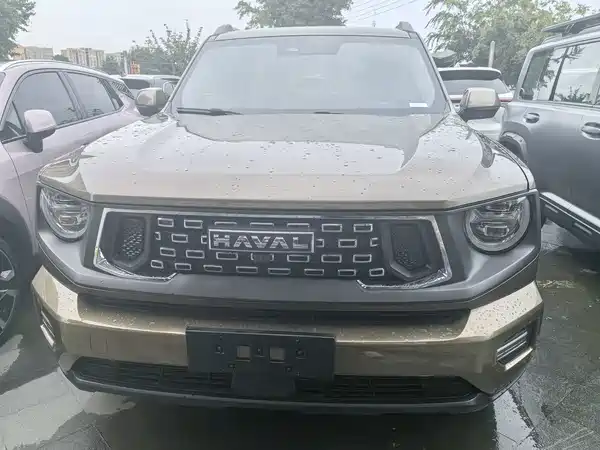 Haval Dog PLUS 2024
