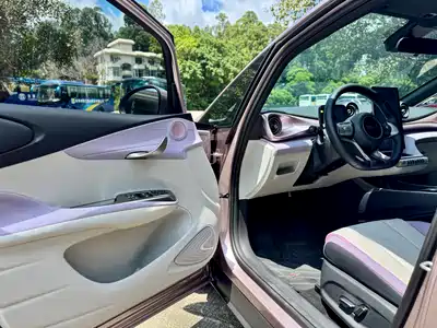 BYD Dolphin 2024
