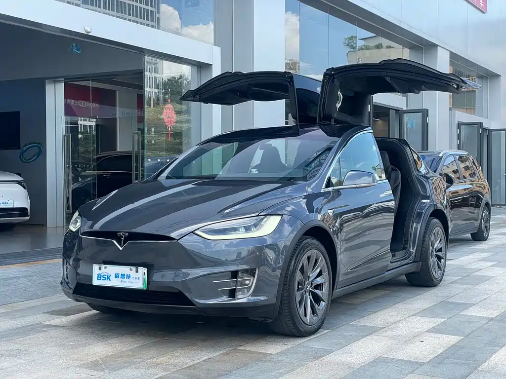 Tesla Model X 2019 — фото 1