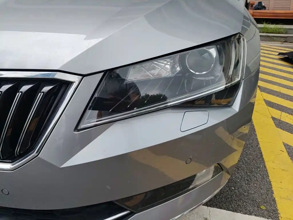 Skoda Speedy 2018 — фото 19
