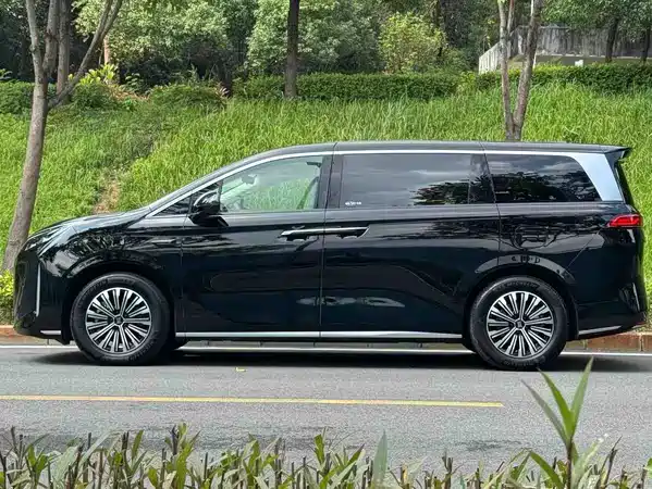 BYD Summer 2025