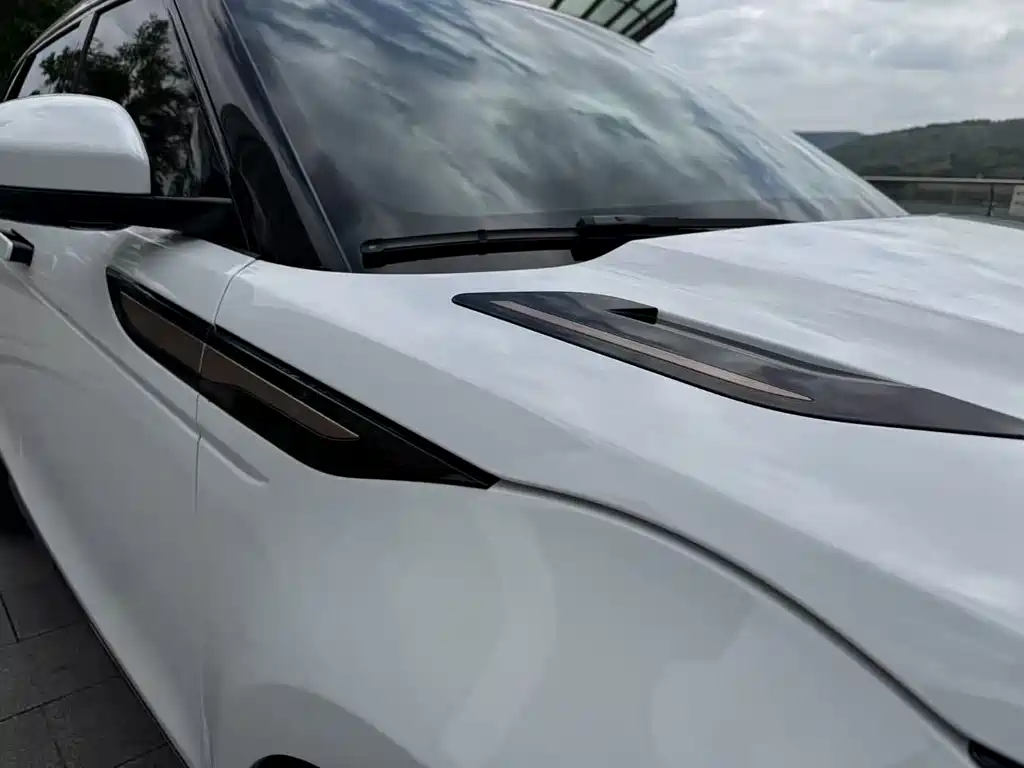 Land Rover Evoque 2021 — фото 25