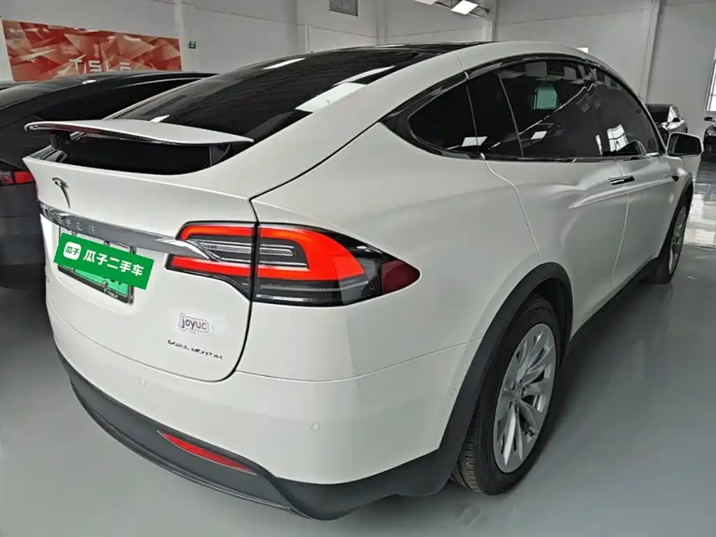 Tesla Model X 2019 — фото 7