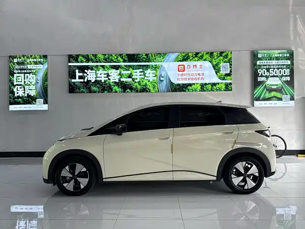 BYD Dolphin 2023