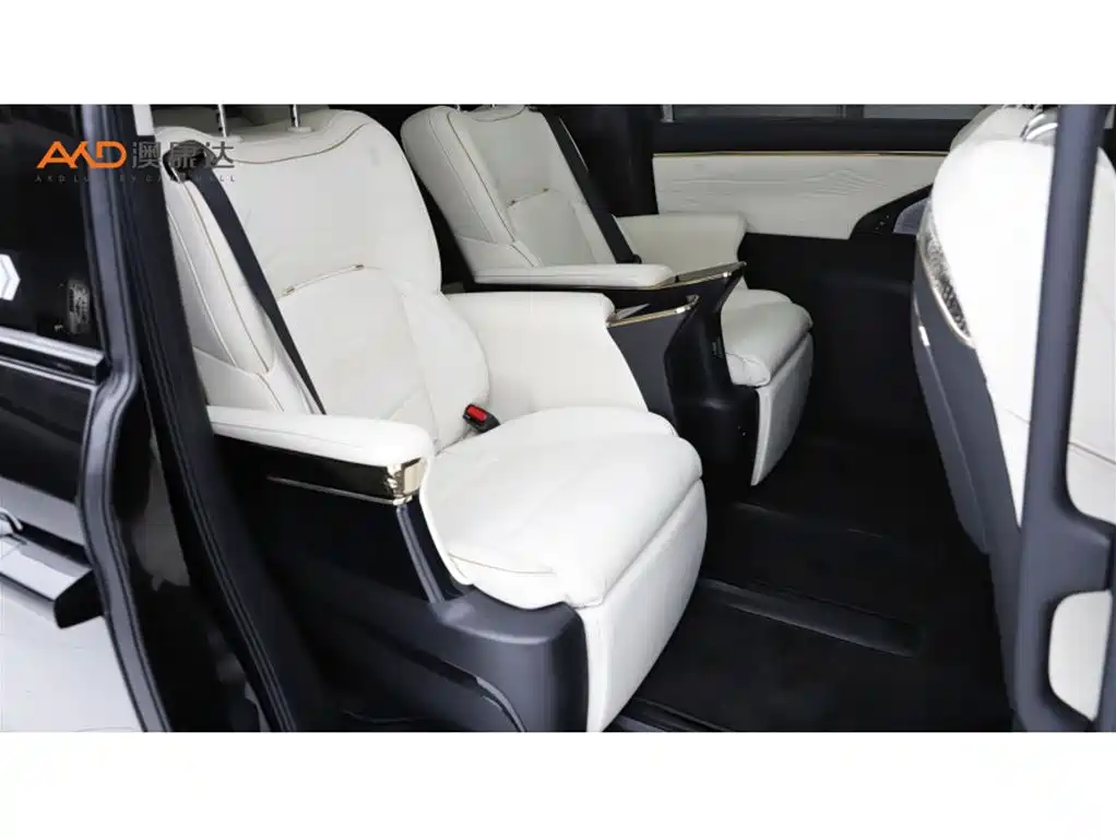 GAC Trumpchi E9 2023 — фото 8