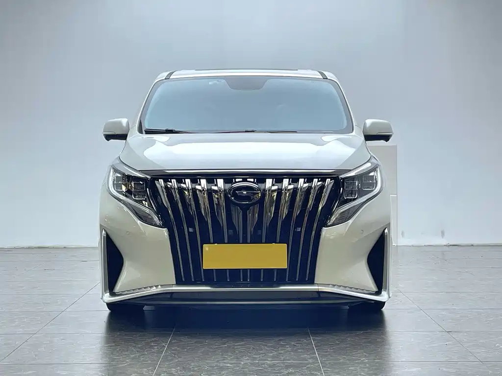 GAC Motor Trumpchi M8 2021 — фото 2