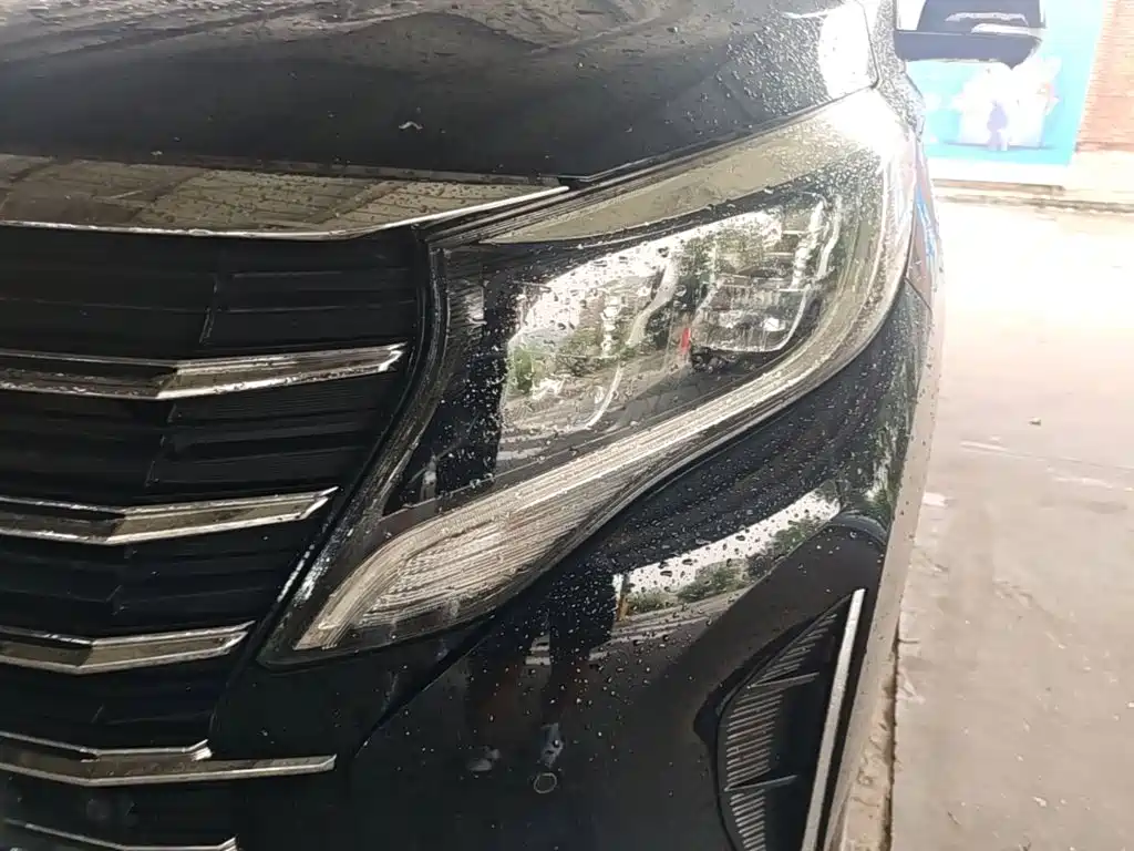 GAC Trumpchi M8 2021 — фото 24