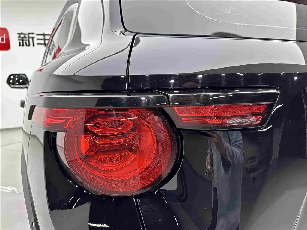 Haval Big Dog PLUS New Energy 2023 — фото 27
