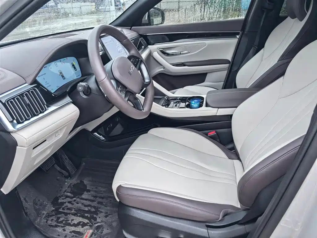 BYD PLUS New Energy 2025 — фото 4