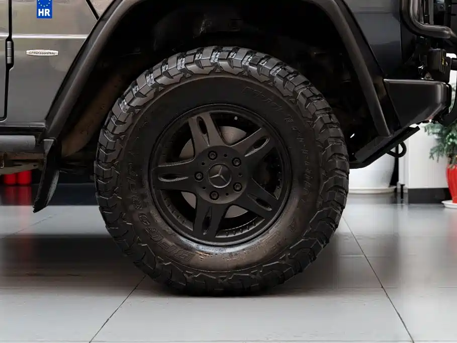 Mercedes-Benz G-Class 2010 — фото 25