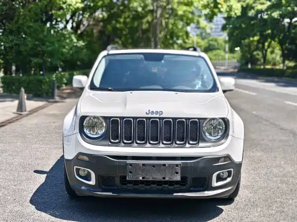 Jeep Freeman 2017