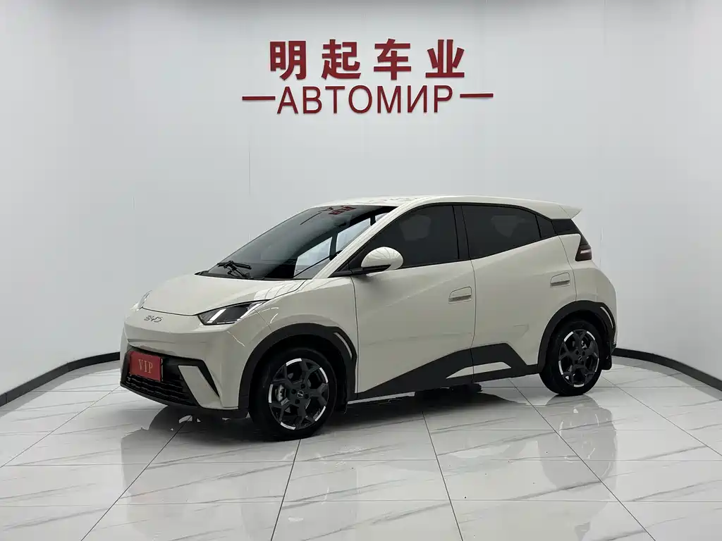 BYD Seagull 2024