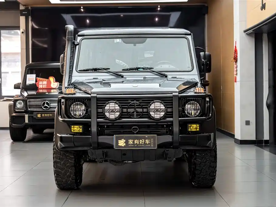 Mercedes-Benz G-Class 2010 — фото 2